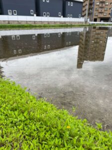 初夏の風景