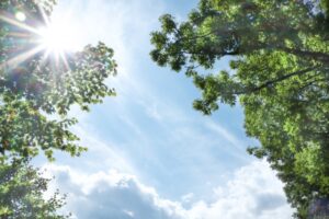 7月夏空