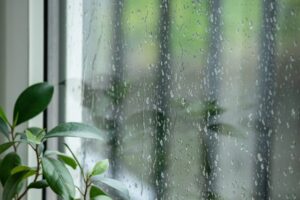 梅雨窓
