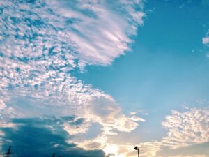 202609秋空